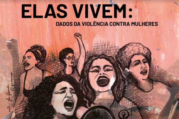 Elas Vivem: dados de viol&ecirc;ncia contra a mulher (Rede de Observat&oacute;rios da  Seguran&ccedil;a, 2022)